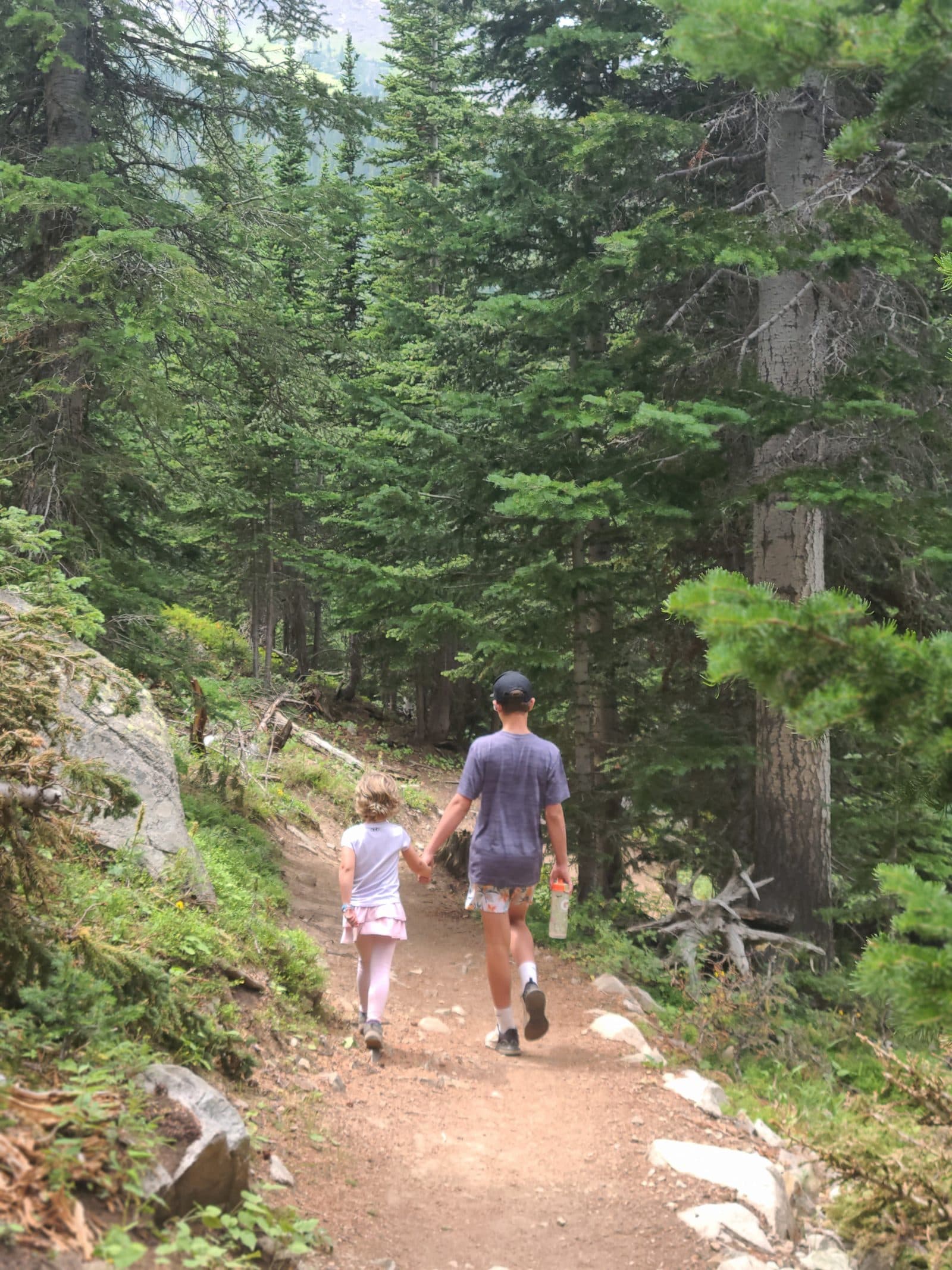 Siblings holding hands walking a mountain trail.