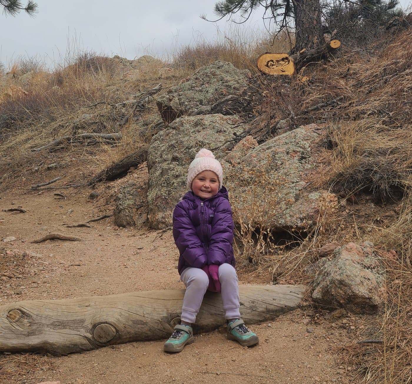 Bellamy resting on a log beside a winter trail, wrapped up warm.